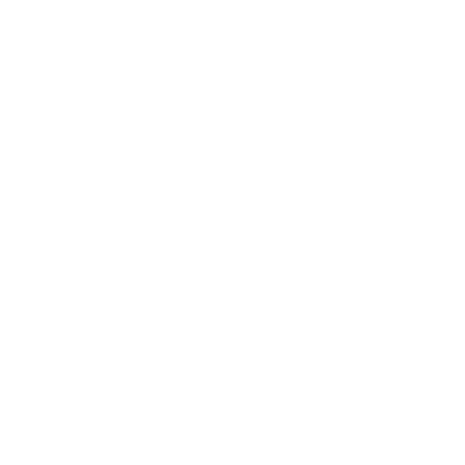 Freedom Combat Authority